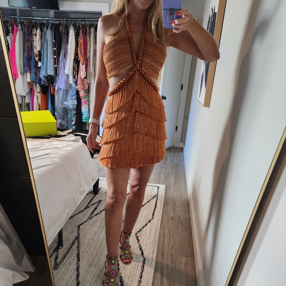 PatBO Pampas Metallic Fringe Minidress - Picture 15 of 17